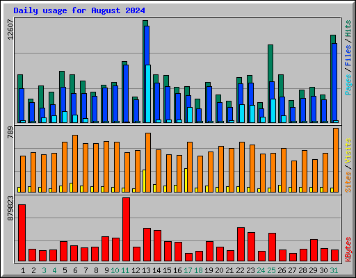 Daily usage for August 2024