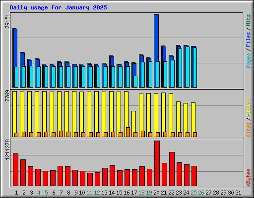 Daily usage for January 2025