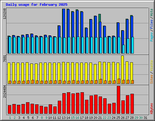 Daily usage for February 2025