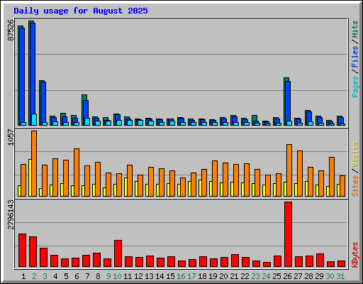 Daily usage for August 2025