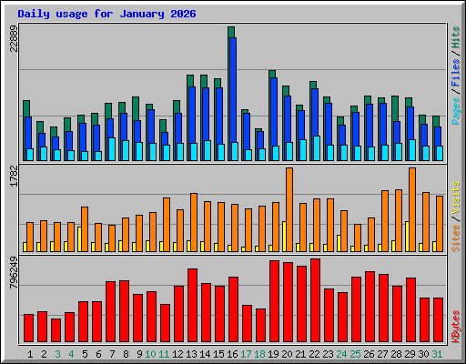 Daily usage for January 2026
