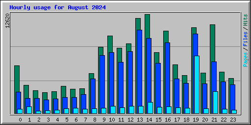 Hourly usage for August 2024