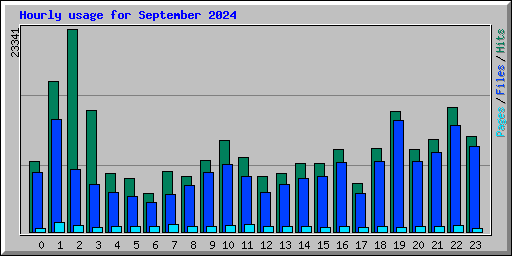 Hourly usage for September 2024