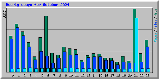 Hourly usage for October 2024