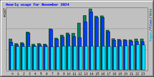 Hourly usage for November 2024