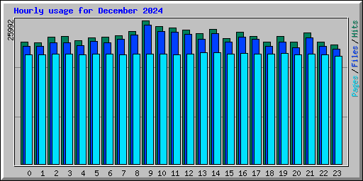 Hourly usage for December 2024