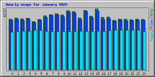 Hourly usage for January 2025