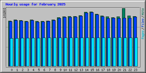 Hourly usage for February 2025