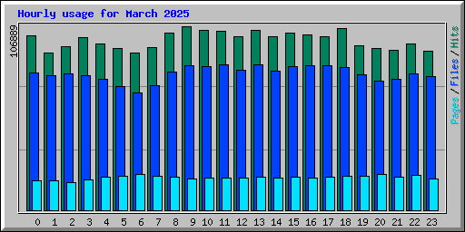 Hourly usage for March 2025