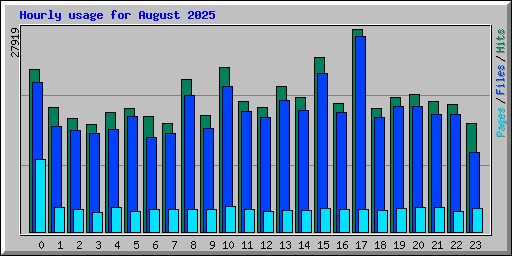 Hourly usage for August 2025