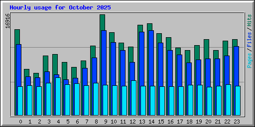 Hourly usage for October 2025