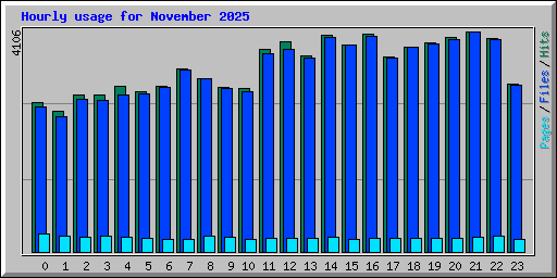 Hourly usage for November 2025