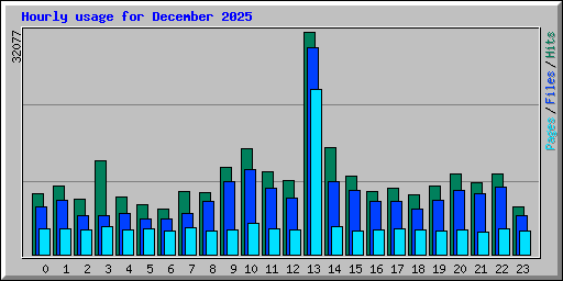 Hourly usage for December 2025