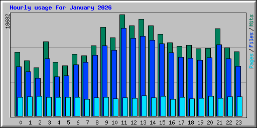 Hourly usage for January 2026