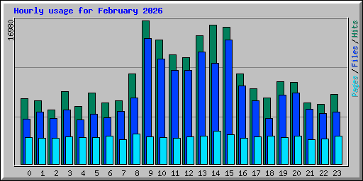 Hourly usage for February 2026